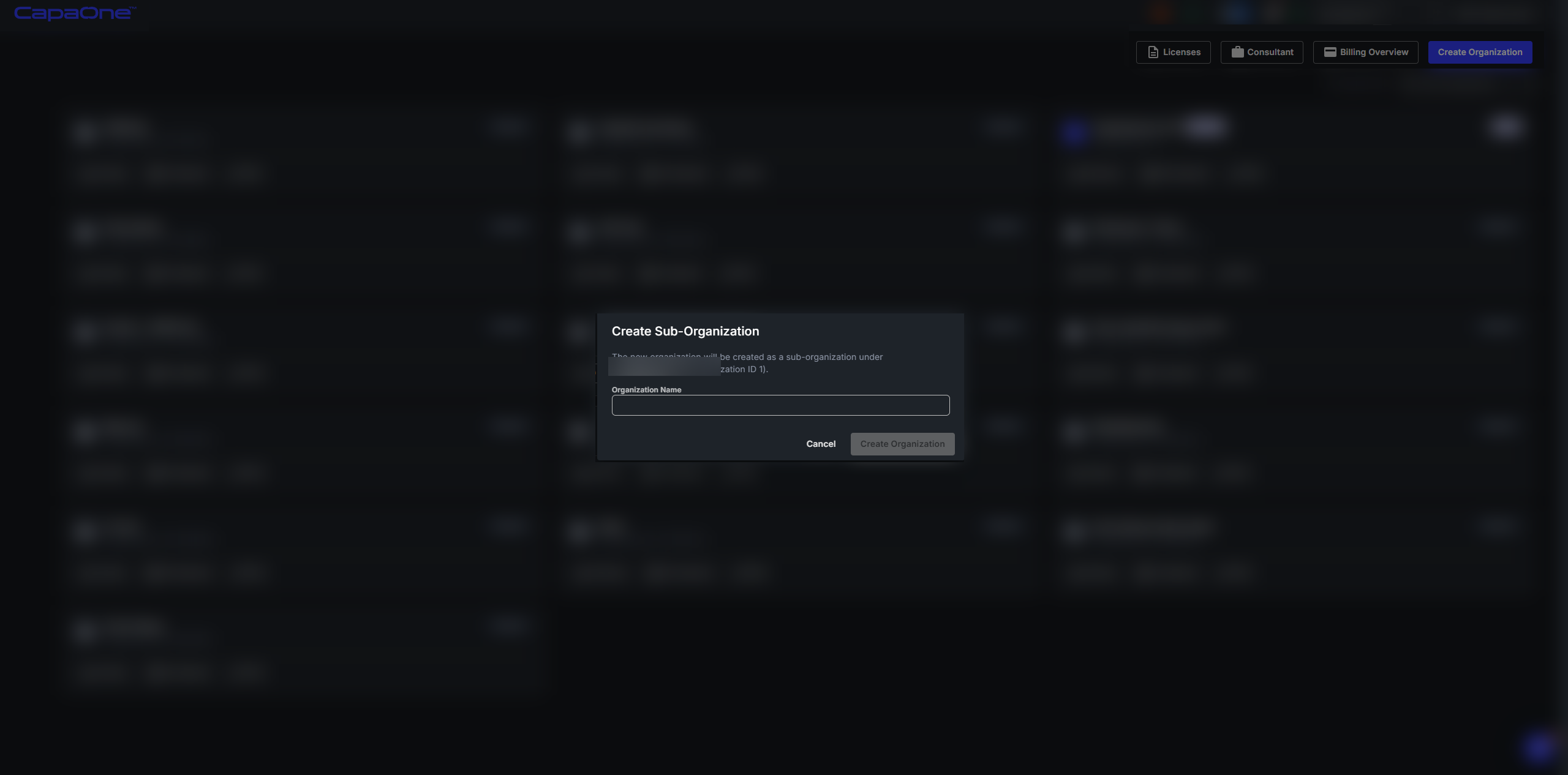 Create Sub-Organization dialog with an organization name field