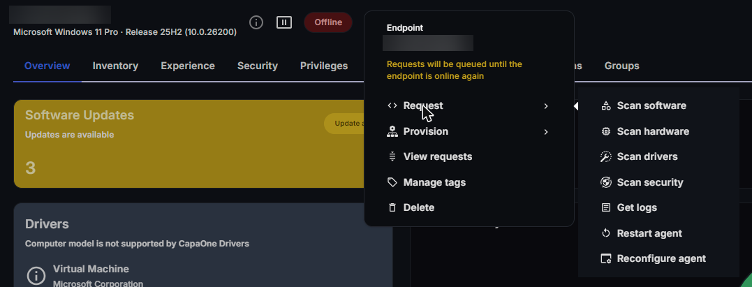 Windows endpoint actions menu with the Request submenu open